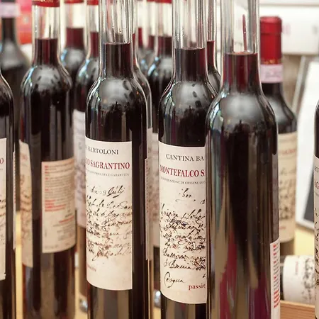 Сasa de vacaciones In Umbria Near Montefalco Winery Giano dellʼUmbria